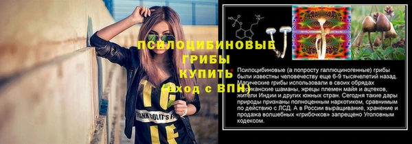 мет Белокуриха